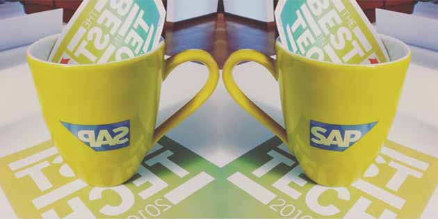 SAP運(yùn)維公司有哪些