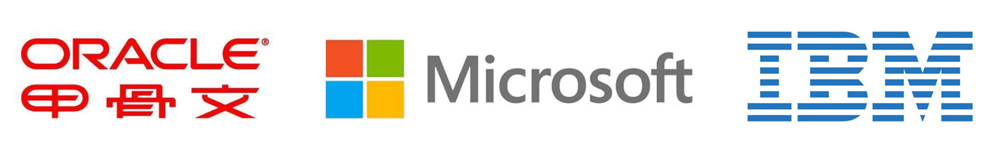 SAP數(shù)據(jù)庫