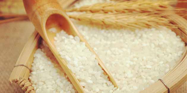 SAP Business One簽約新聞-廣州工博成功簽下御福園米業(yè)