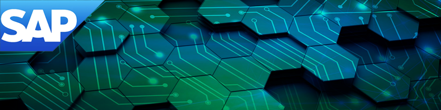 SAP B1 SLD服務(wù)