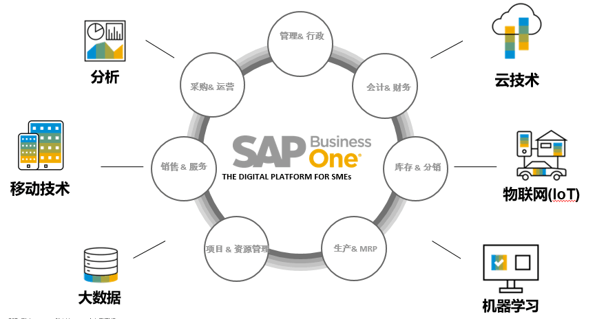 SAP Business One,SAP ByDesign,SAP Business ByDesign