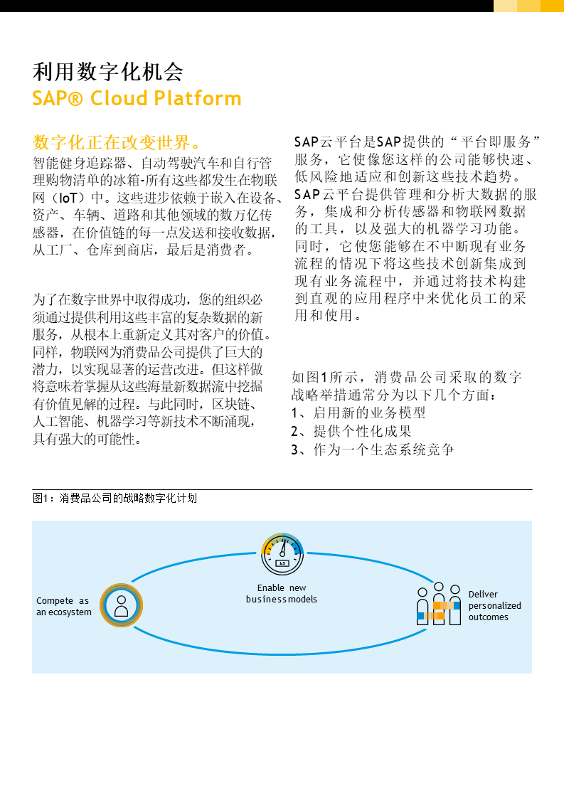 SAP消費(fèi)品解決方案,SAP Cloud Platform,智能ERP解決方案