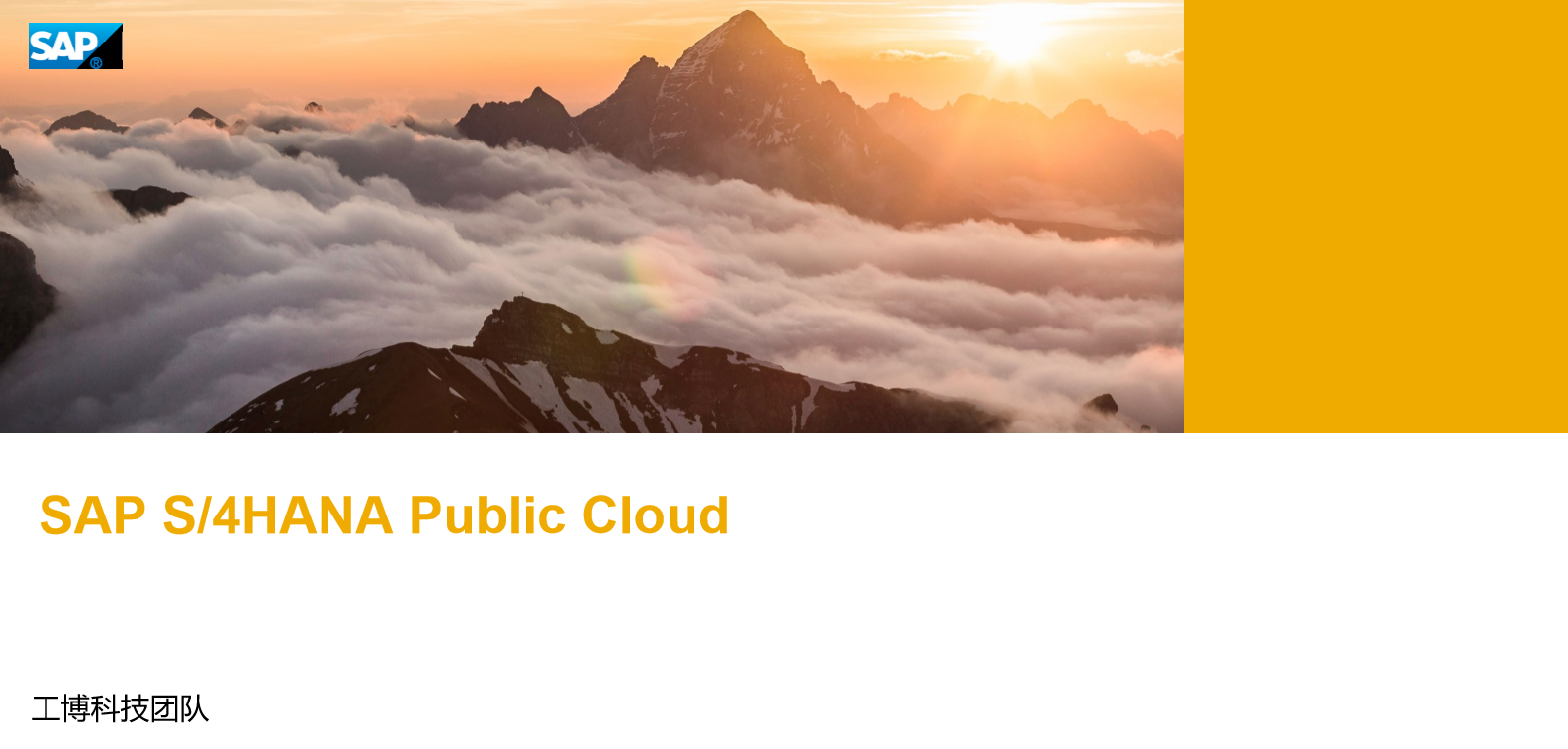 SAP S/4HANA Cloud Public Edition（SAP ERP 公有云） 是一款即裝即用的云ERP軟件，詳詢(xún)SAP系統(tǒng)供應(yīng)商工博科技。