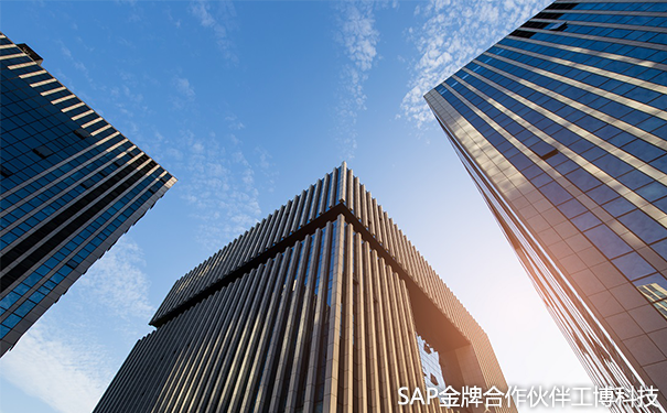 大型企業(yè)ERP,企業(yè)ERP系統(tǒng),企業(yè)ERP軟件,SAP ERP軟件,大型ERP