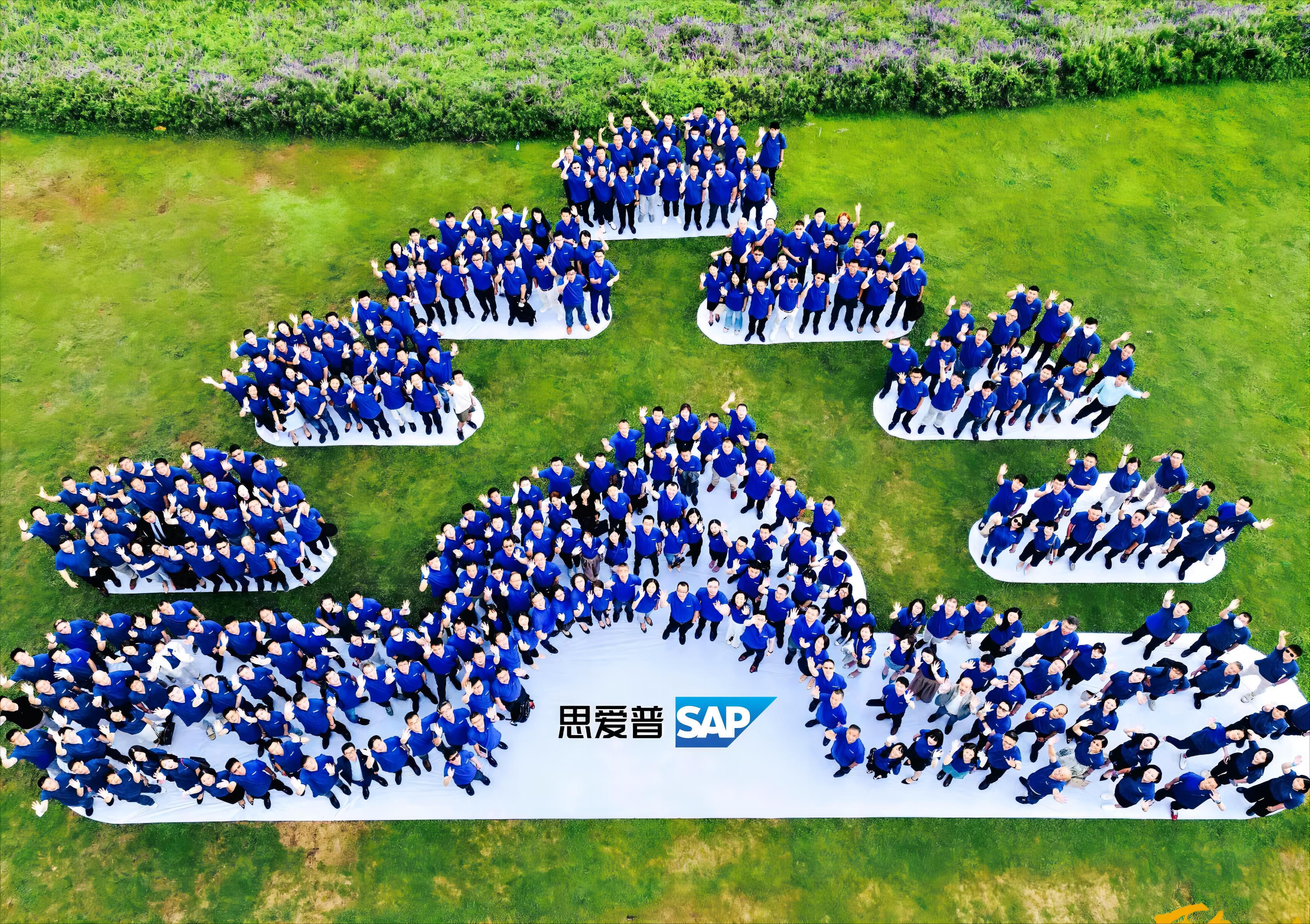 SAP在國內(nèi)的服務(wù)商有哪些？