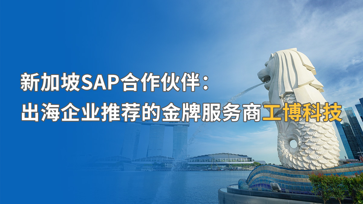 如何提升新加坡SAP實(shí)施成功率？揭秘中資企業(yè)出海的“合規(guī)密碼”