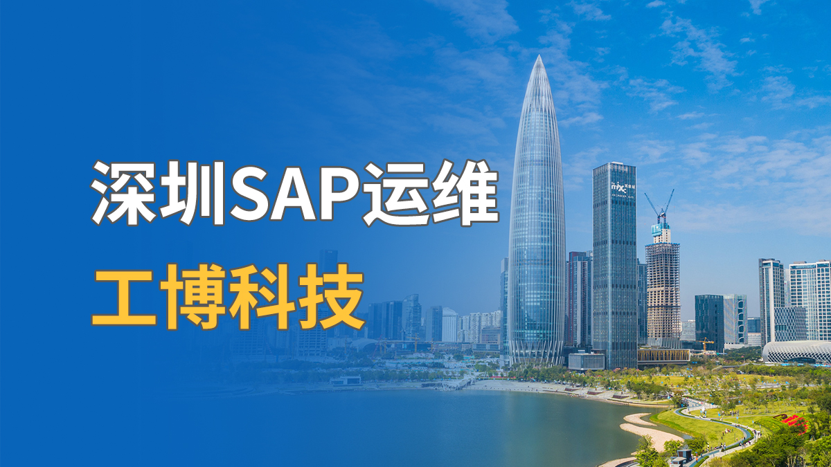 深圳SAP運維廠家有哪些？