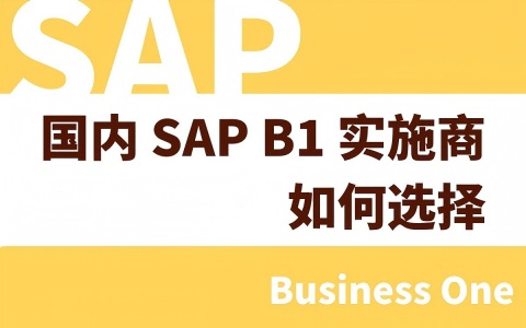 如何選擇國(guó)內(nèi)SAP B1實(shí)施商